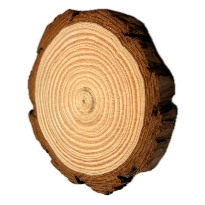 Custom Log Coaster
